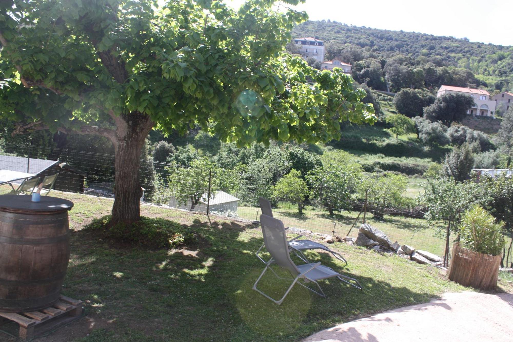 Ferienwohnung A Cardiccia Loc Saisonnieres Piana Piana  Exterior foto